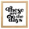 12" x 12" These Are the Days Framed Wall Art, Contemporary Home Décor, Glass Facing and Hanging Hardware Included